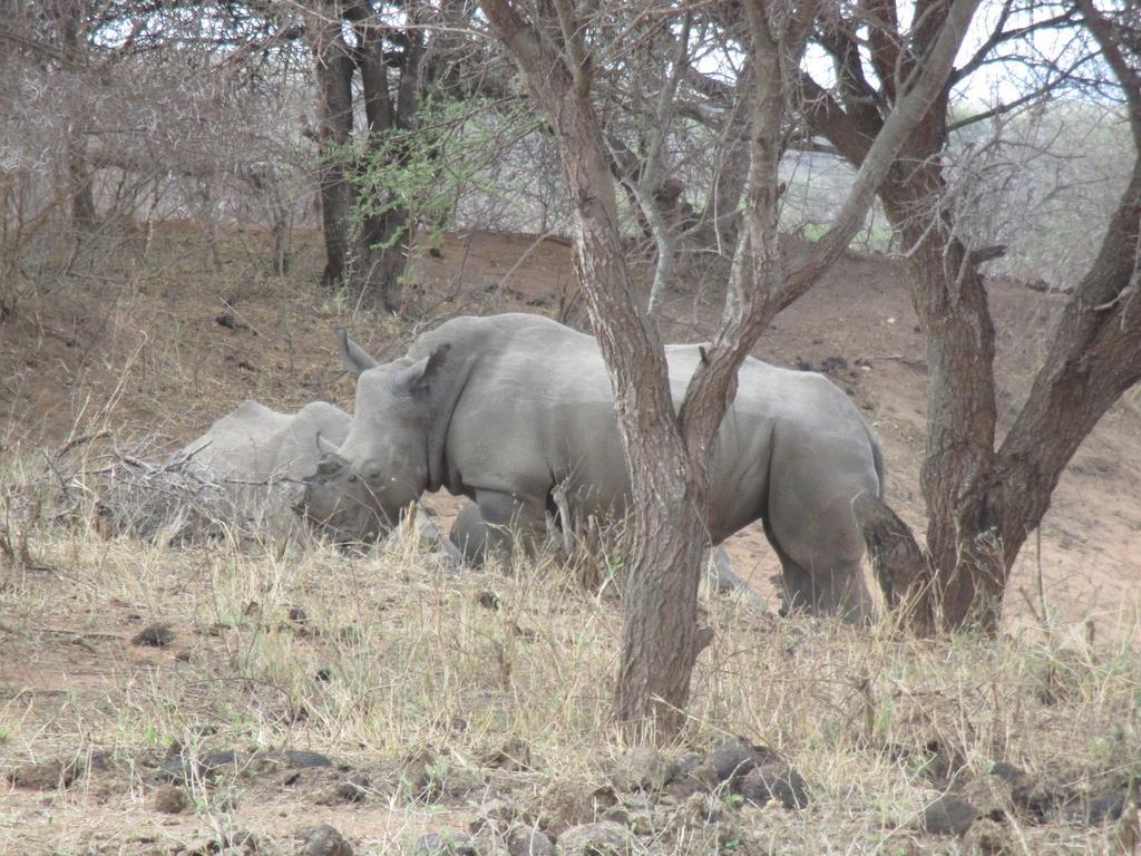 Tshukudu Game Lodge - Hoedspruit Exteriör bild