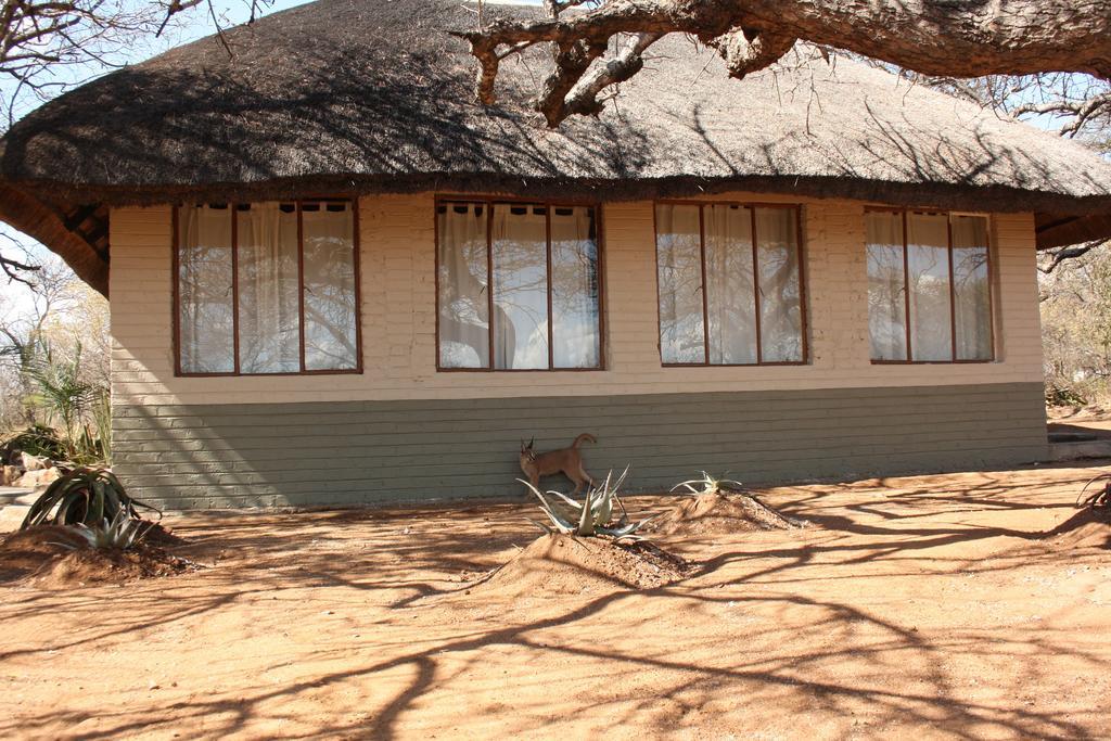 Tshukudu Game Lodge - Hoedspruit Exteriör bild