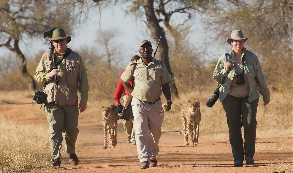 Tshukudu Game Lodge - Hoedspruit Exteriör bild