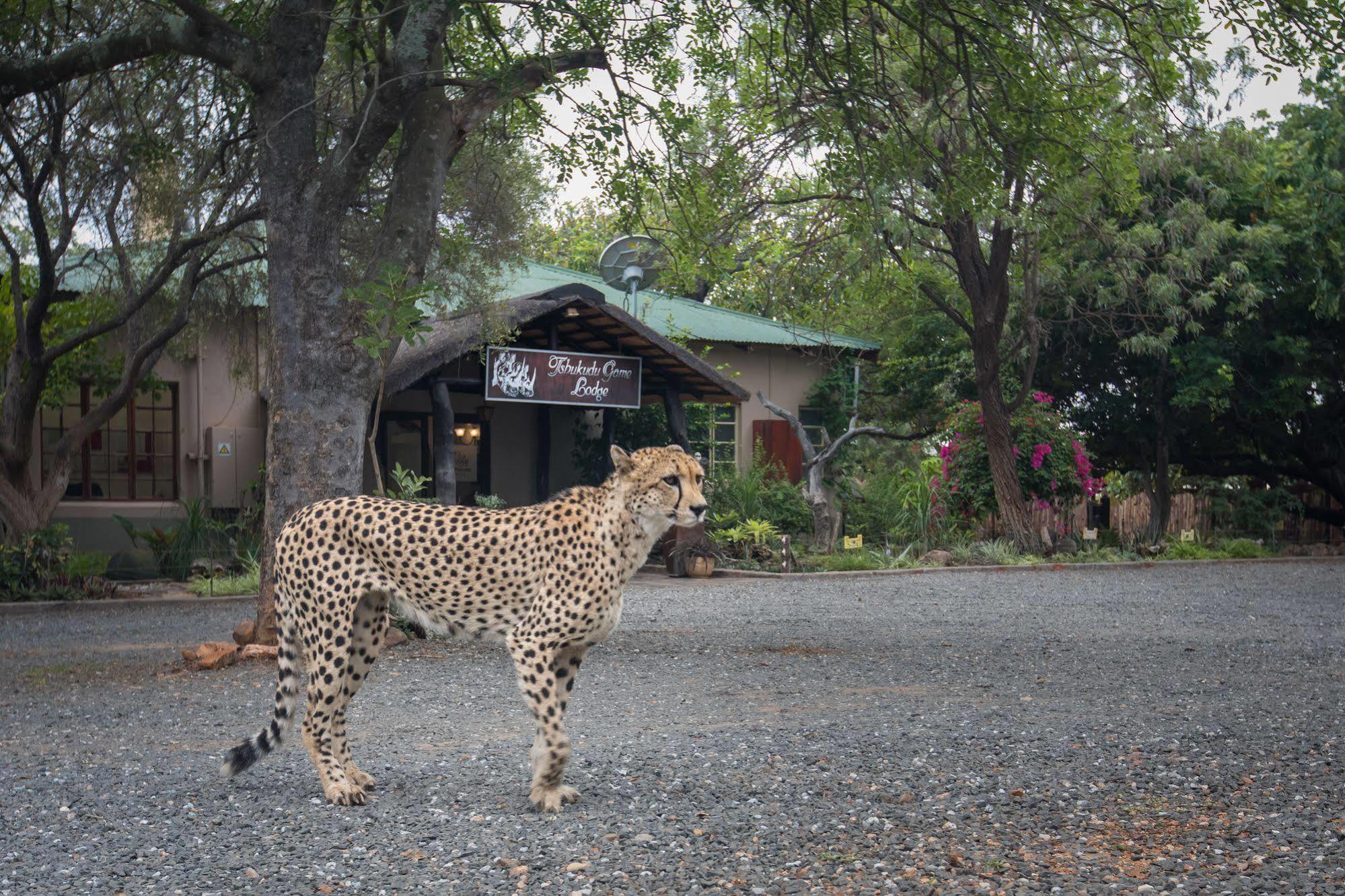 Tshukudu Game Lodge - Hoedspruit Exteriör bild