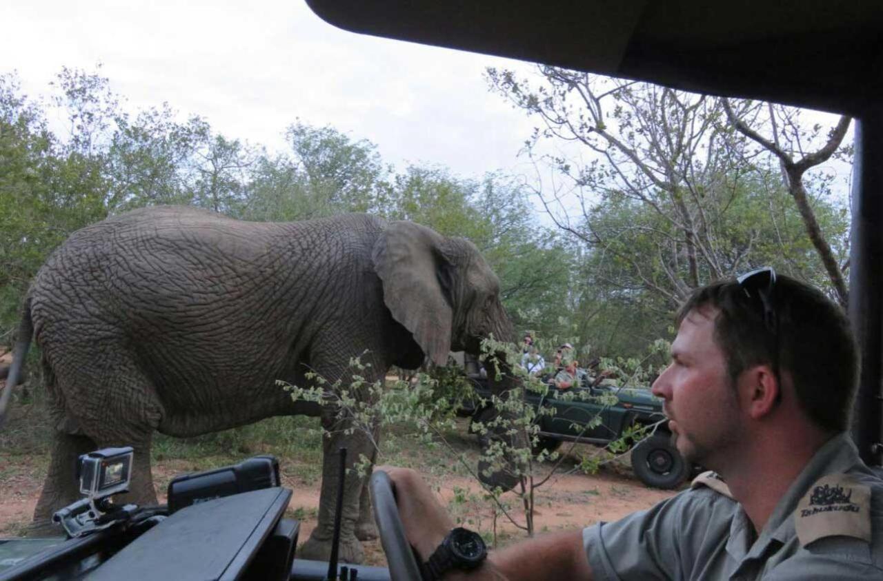 Tshukudu Game Lodge - Hoedspruit Exteriör bild